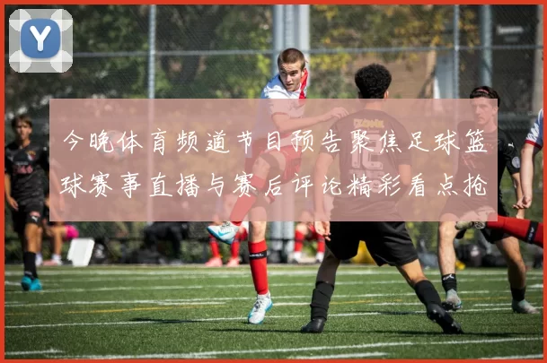 今晚体育频道节目预告聚焦足球篮球赛事直播与赛后评论精彩看点抢先看