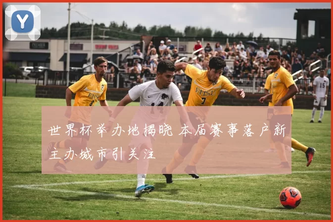 世界杯举办地揭晓 本届赛事落户新主办城市引关注