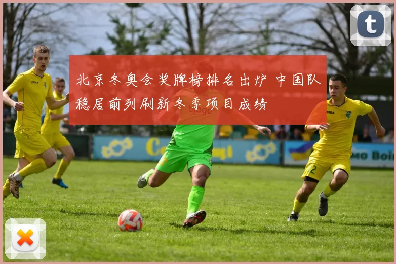 北京冬奥会奖牌榜排名出炉 中国队稳居前列刷新冬季项目成绩