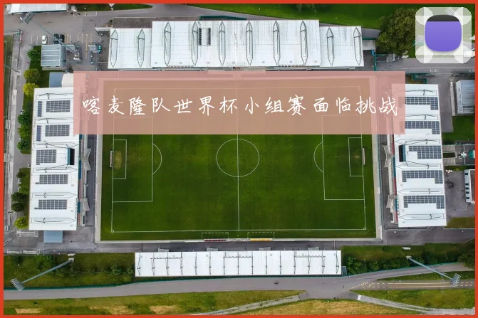 喀麦隆队世界杯小组赛面临挑战